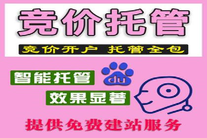 某品牌sem代运营机构合作案例：提升广告ROI的秘诀